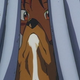 Image for article titled Cowboy Bebop: “Mushroom Samba”
